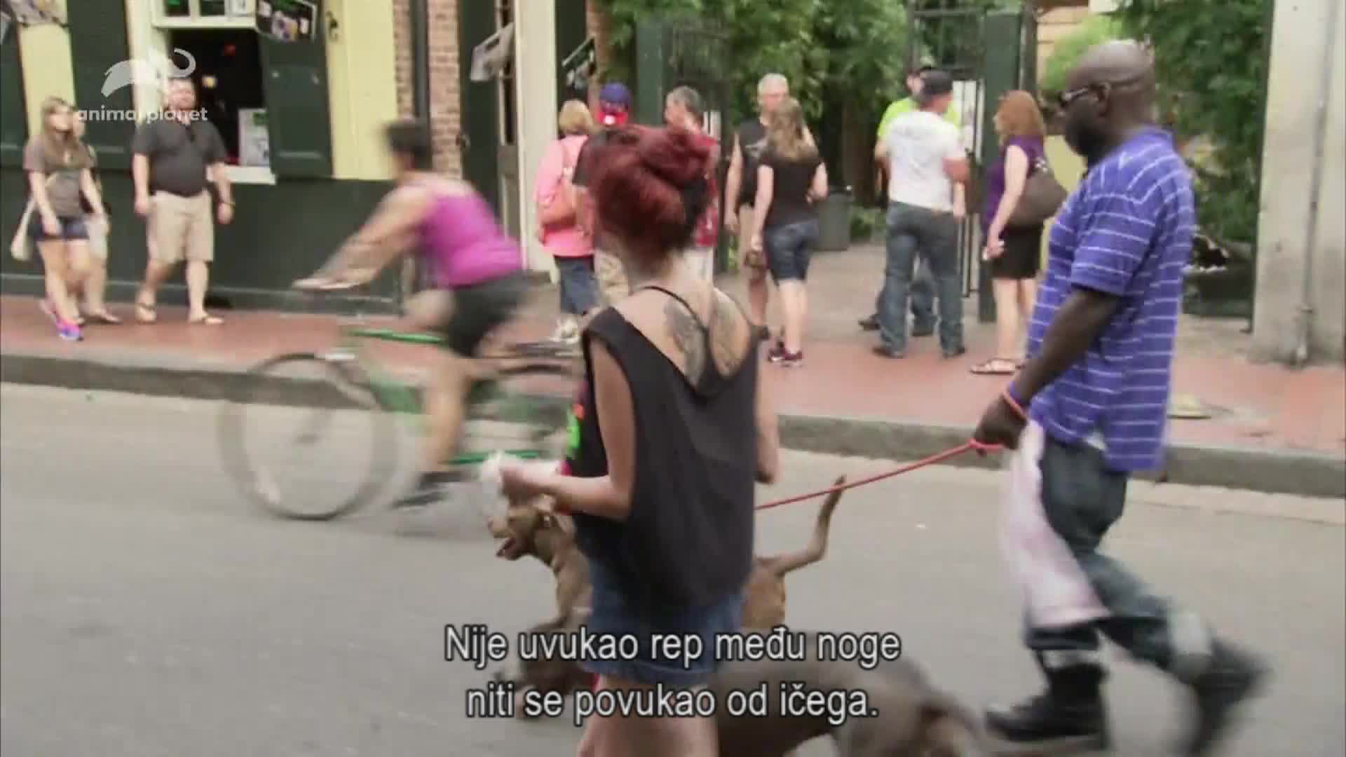 AnimalPlanet