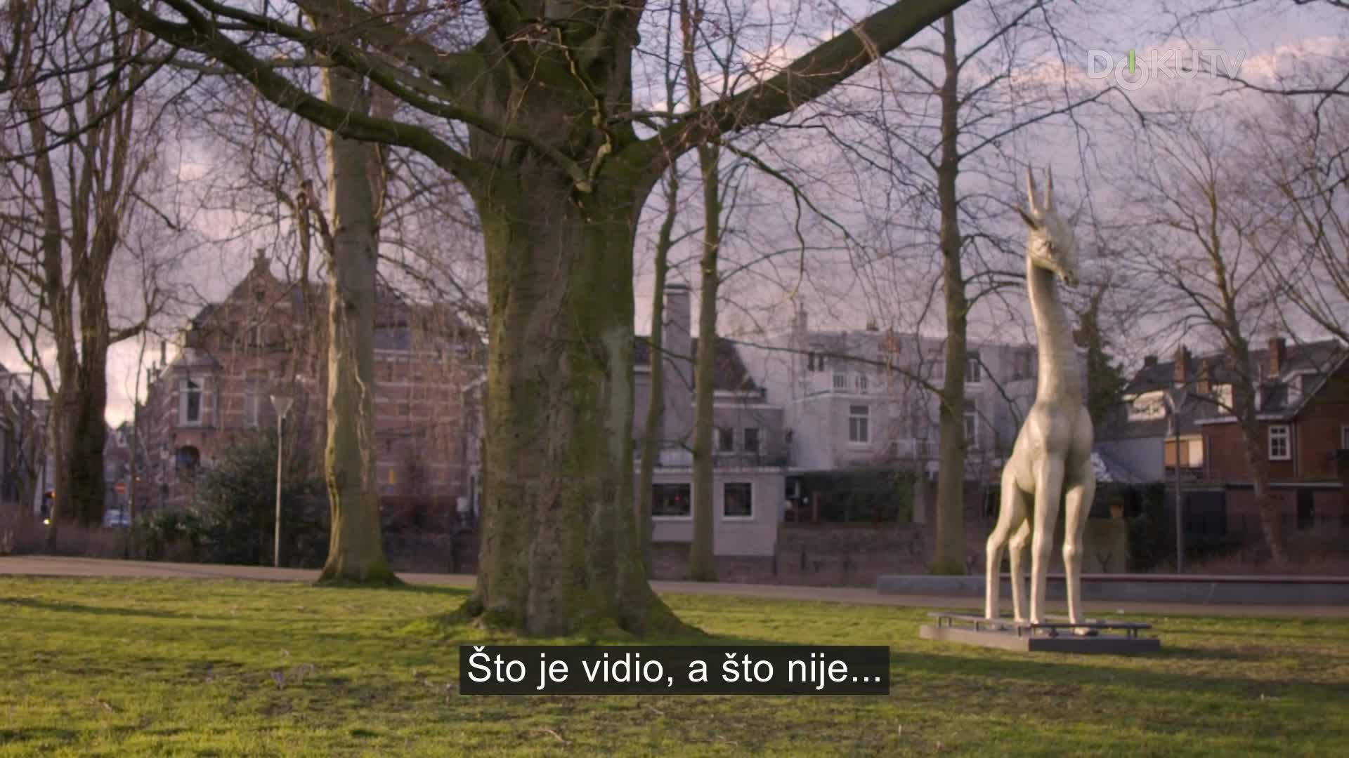DokuTV