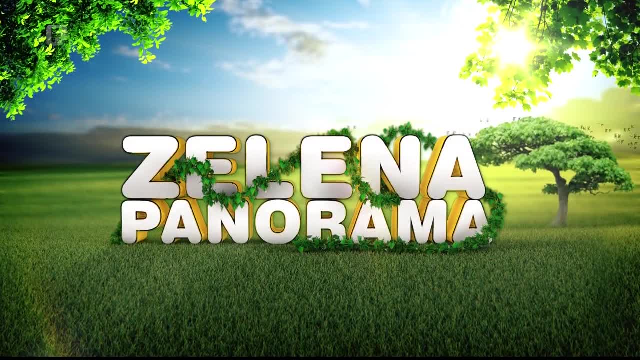 FTV