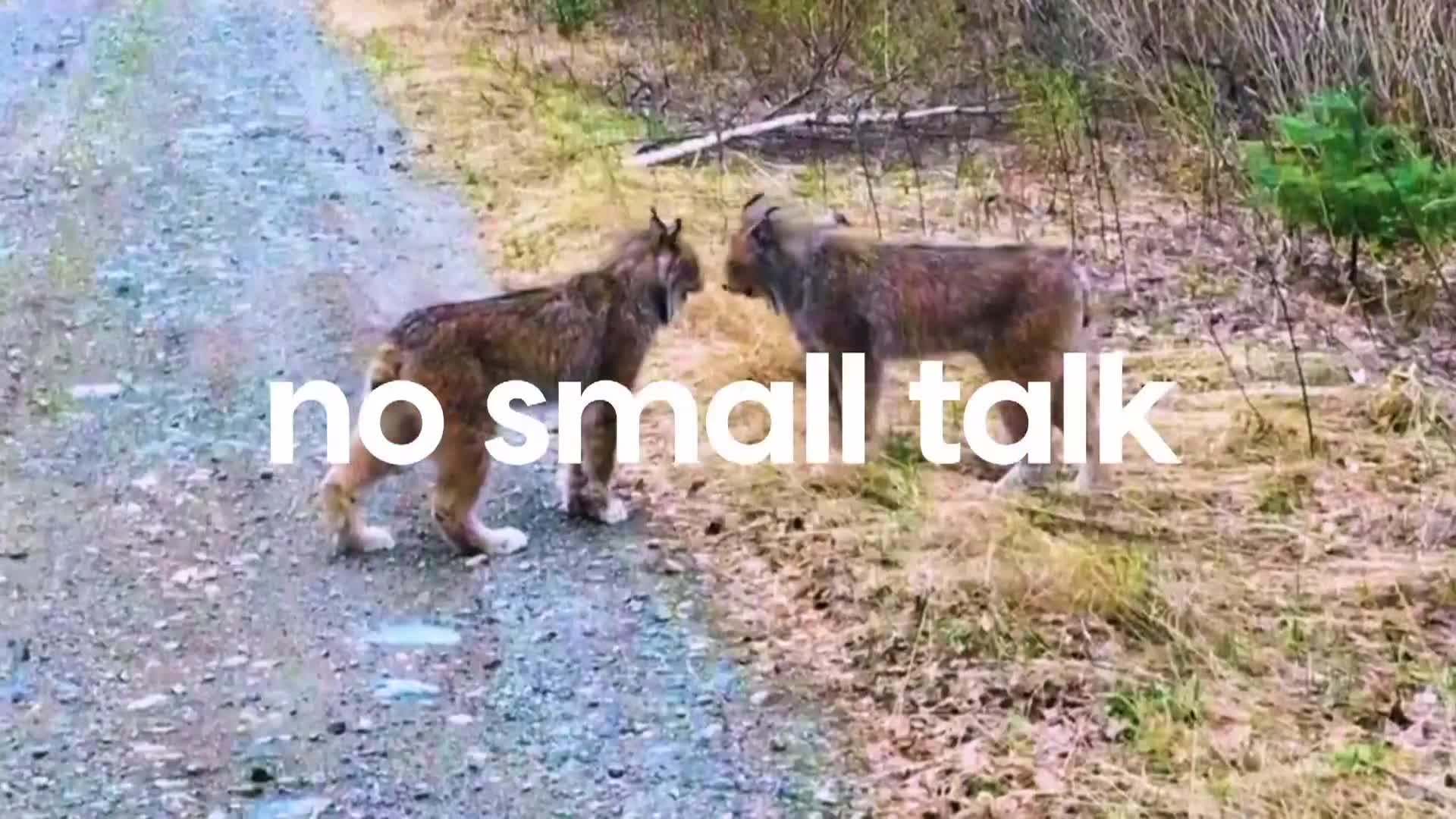 AnimalPlanet
