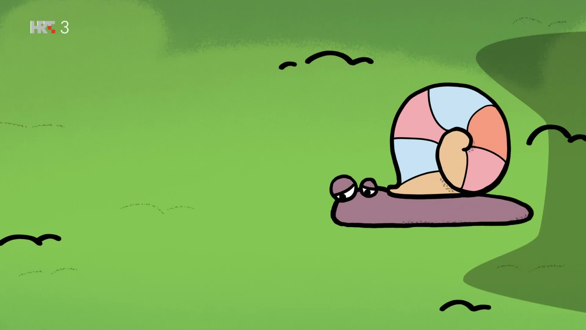 HRT3