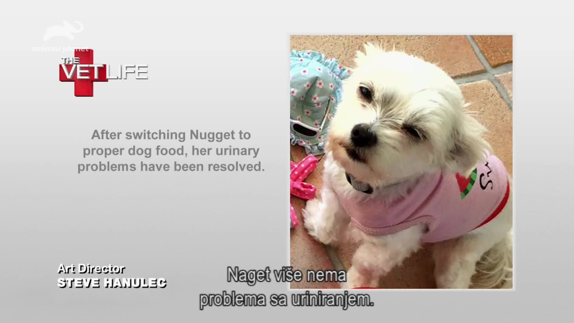 AnimalPlanet