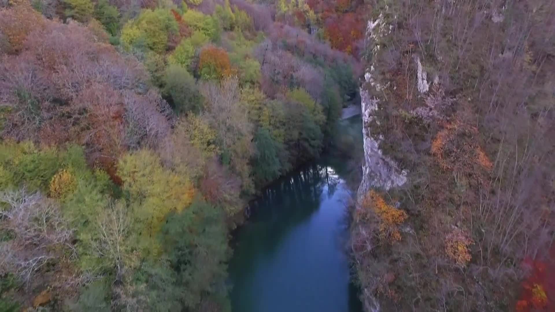 DokuTV