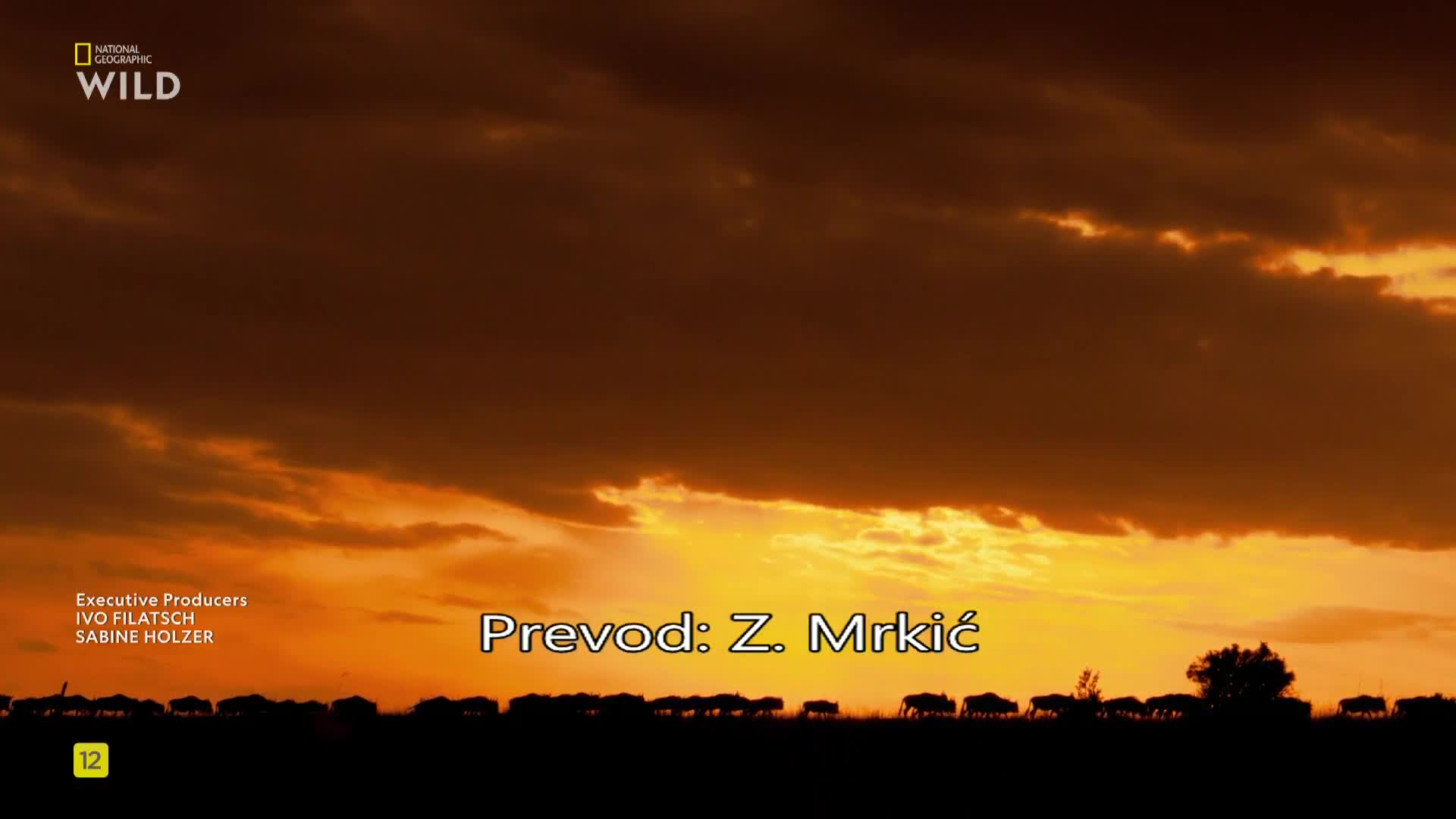 Premium9
