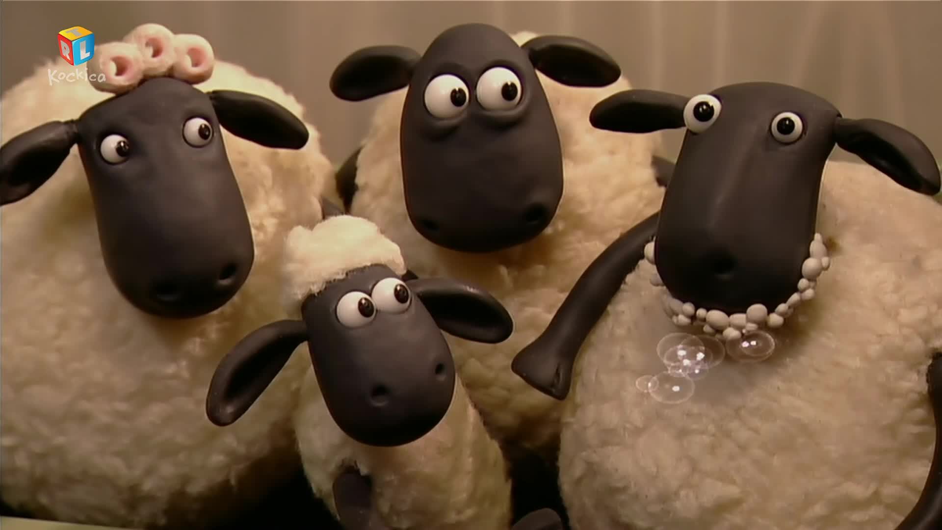 RTLKockica