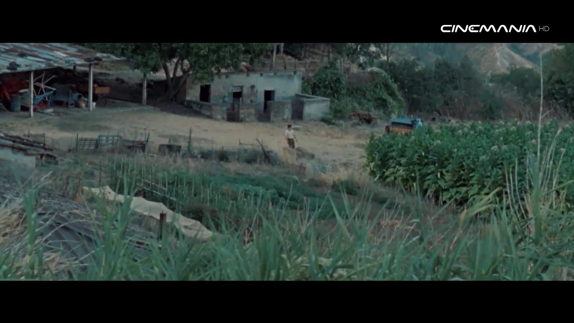 Cinemania