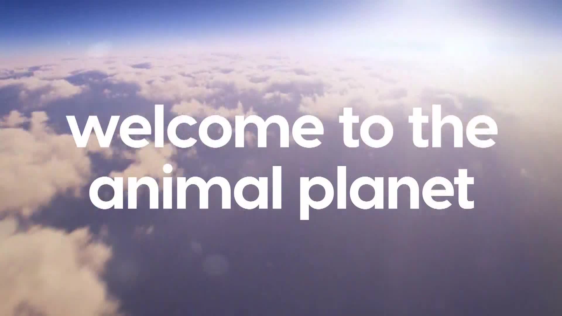 AnimalPlanet