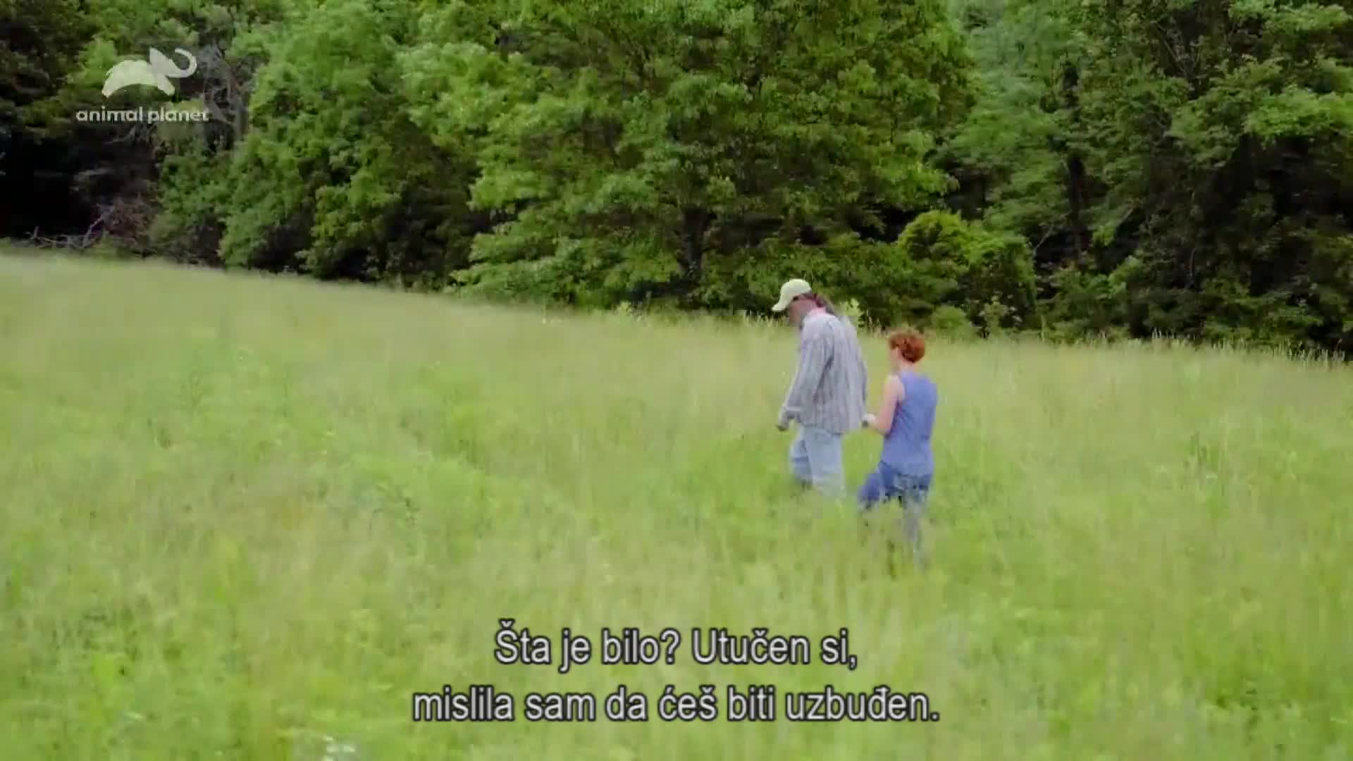 AnimalPlanet