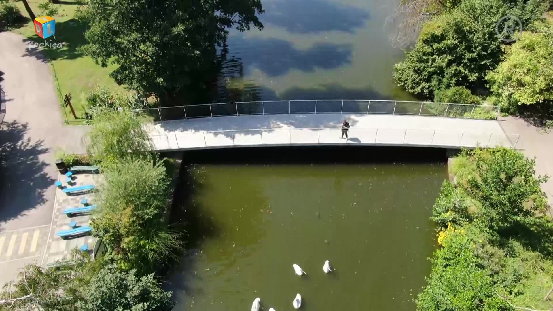 RTLKockica
