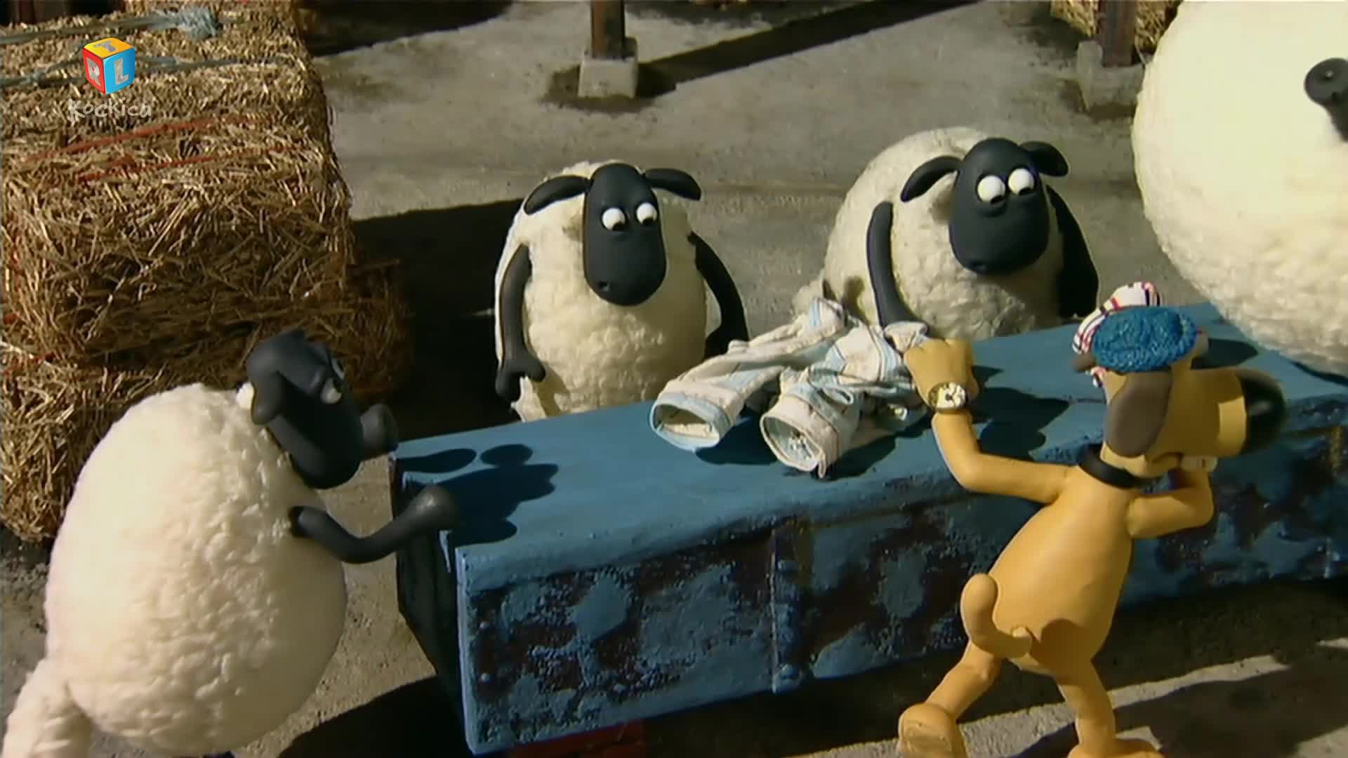 RTLKockica