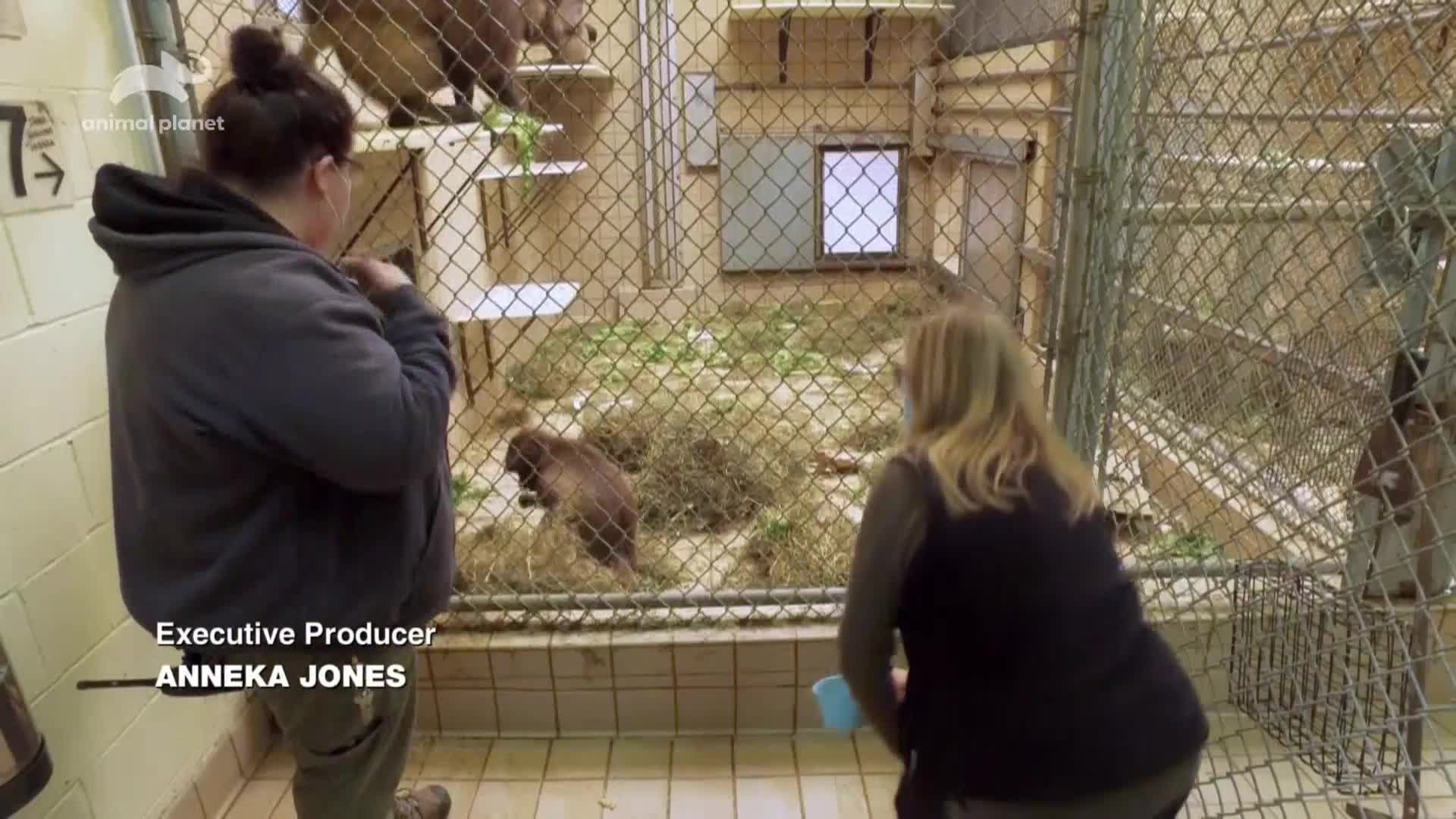 AnimalPlanet
