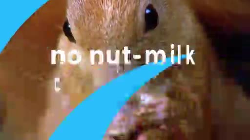 AnimalPlanet