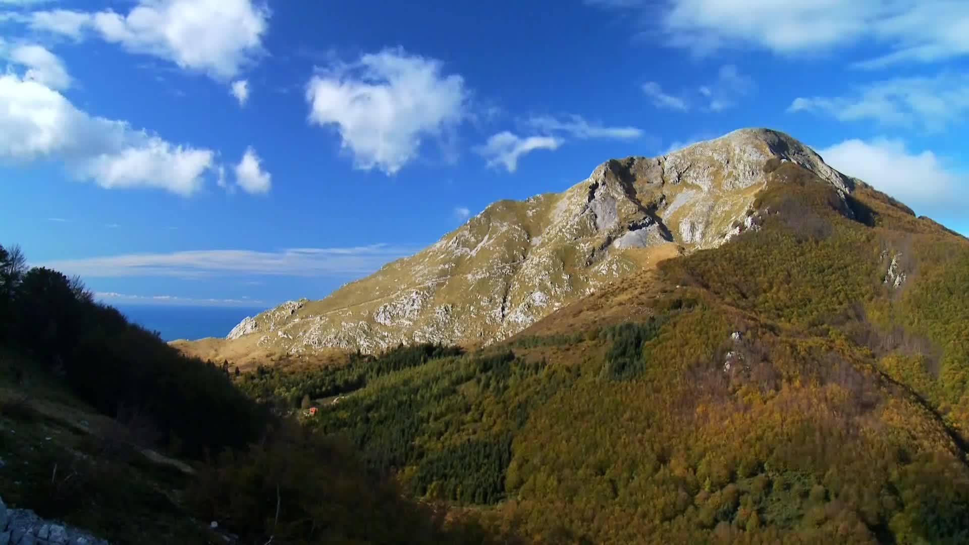 DokuTV