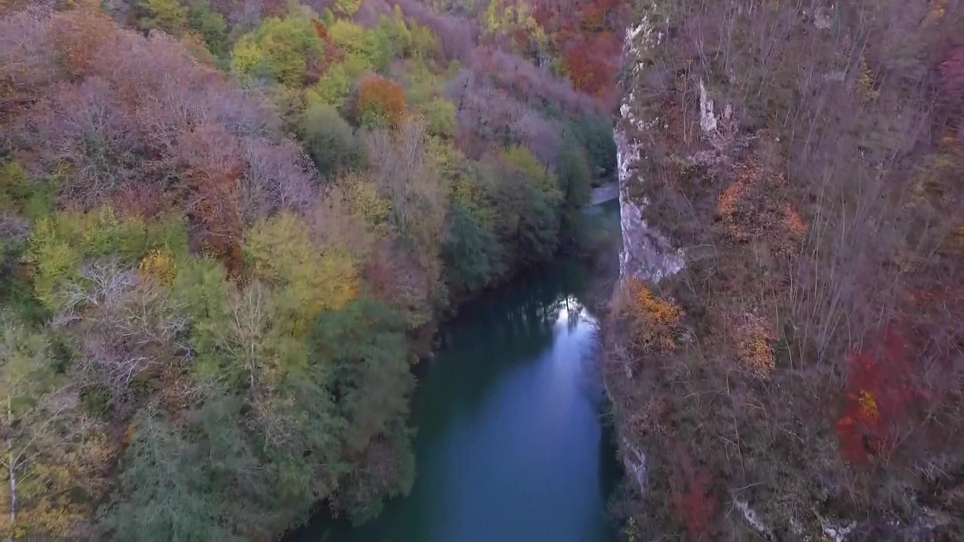 DokuTV