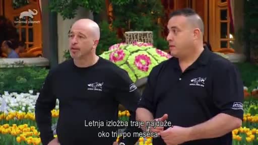 AnimalPlanet