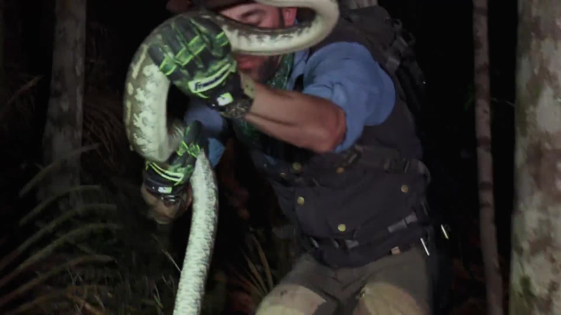 AnimalPlanet
