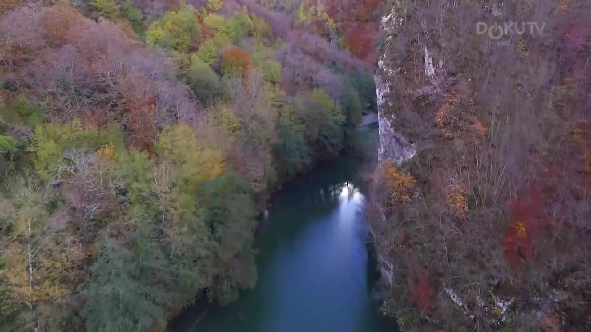 DokuTV