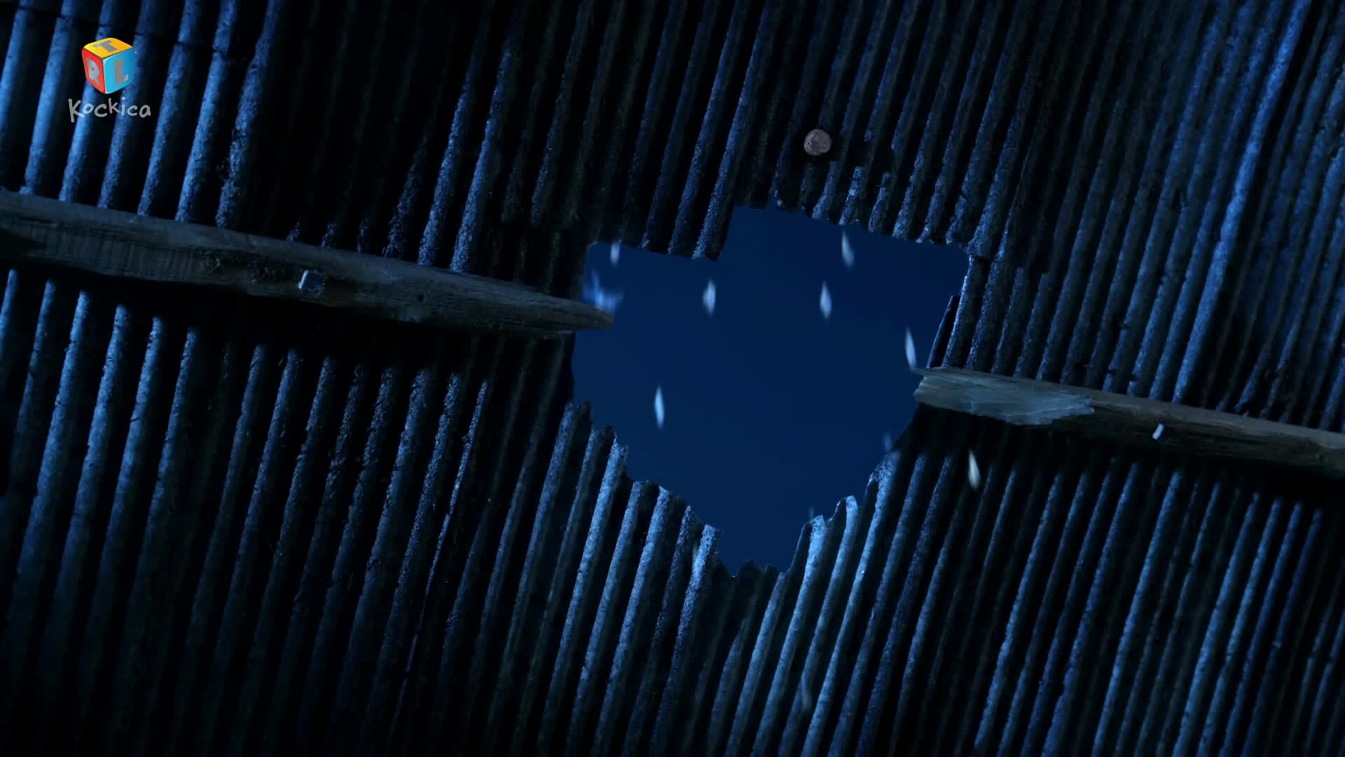 RTLKockica