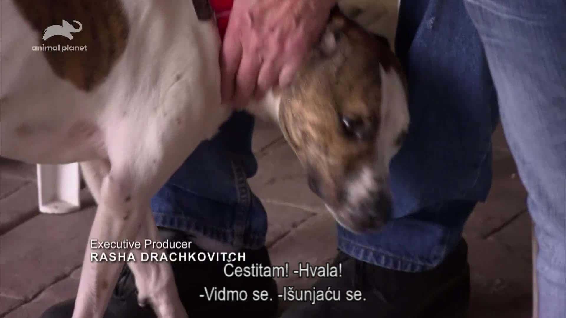 AnimalPlanet