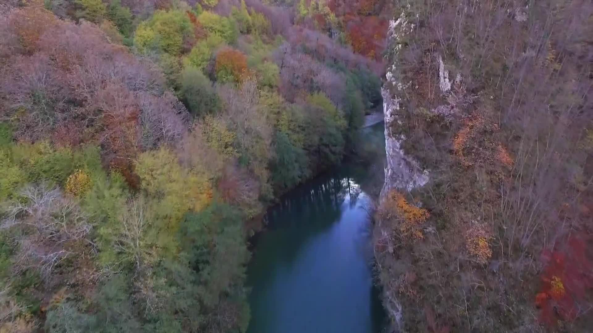 DokuTV