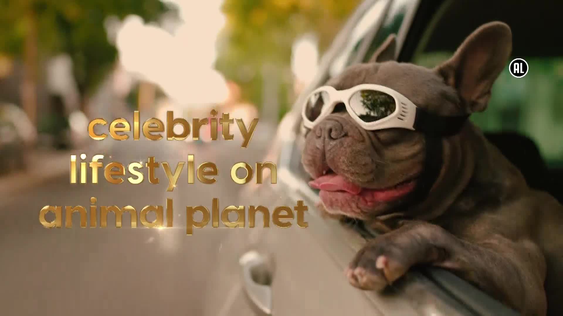 AnimalPlanet