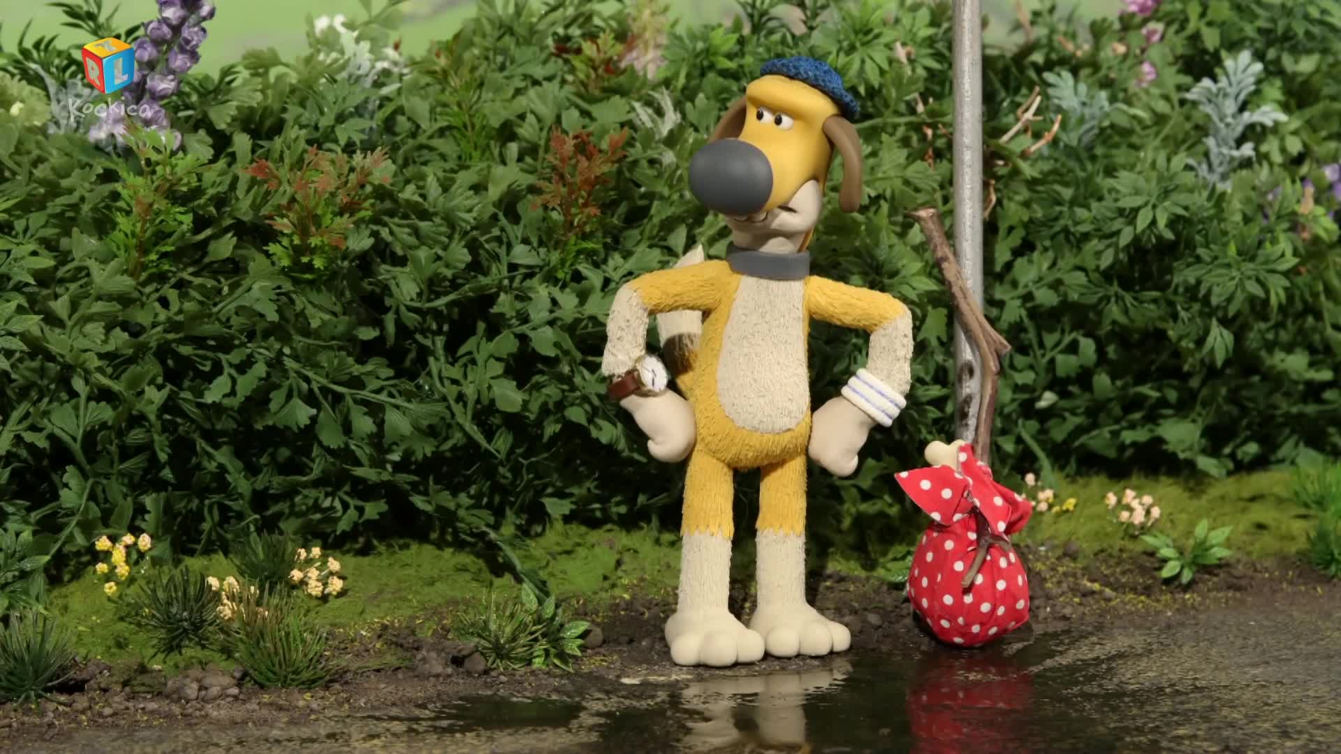 RTLKockica