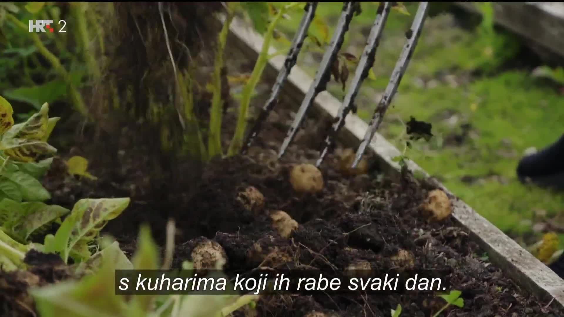 HRT2