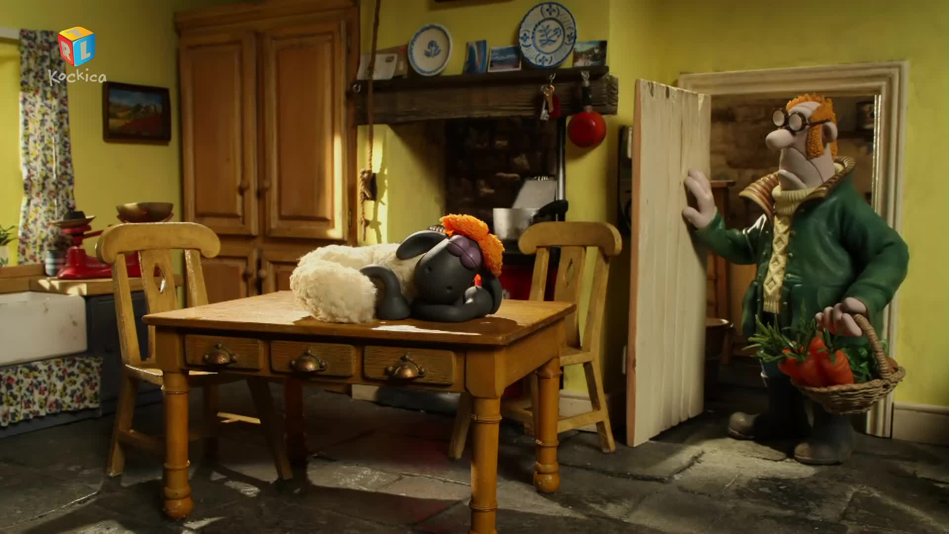 RTLKockica