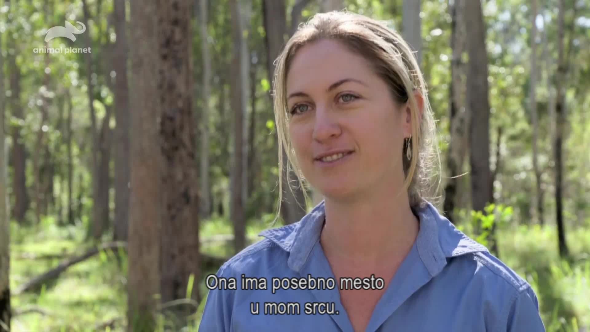 AnimalPlanet