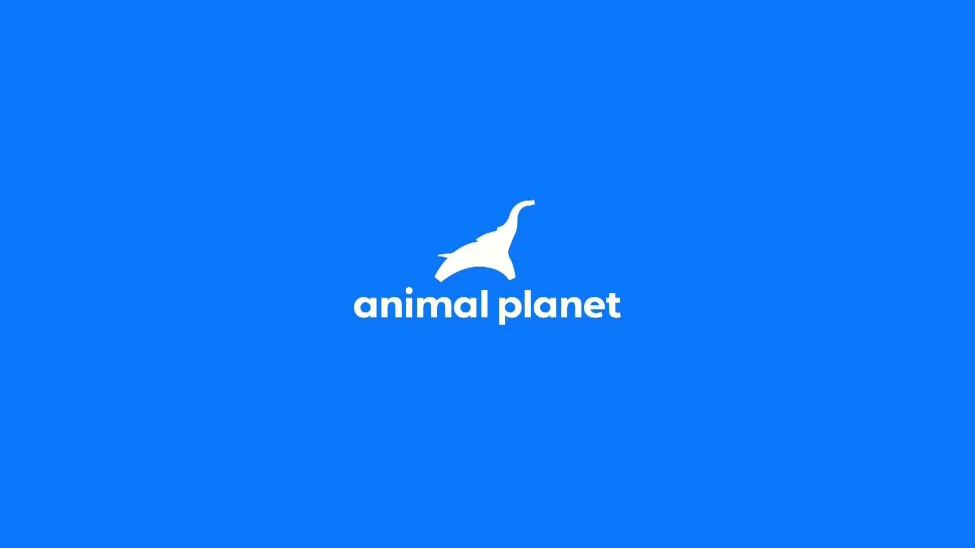 AnimalPlanet