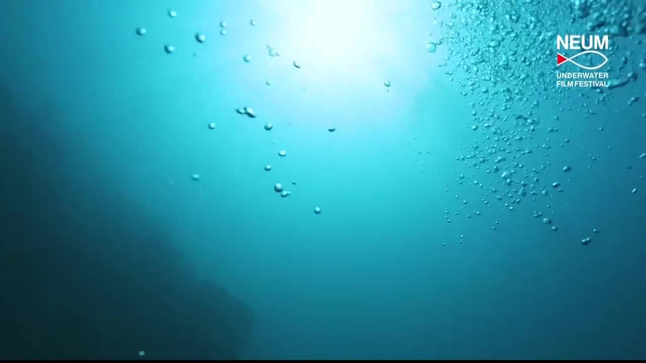 FTV