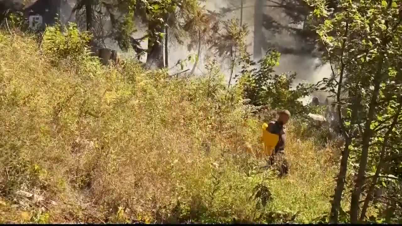FTV
