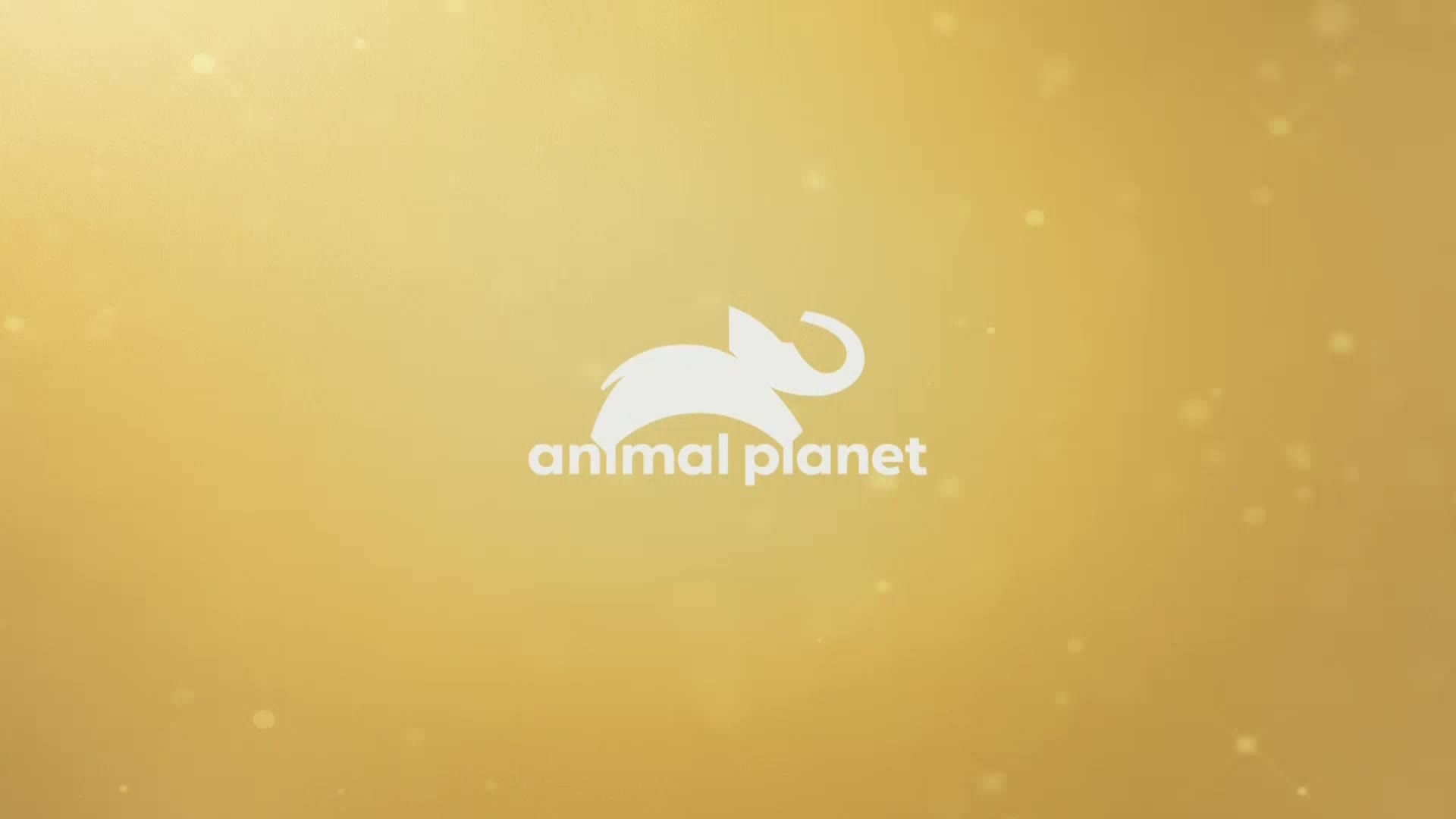 AnimalPlanet