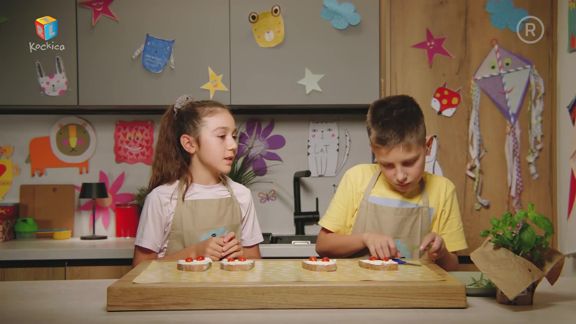 RTLKockica