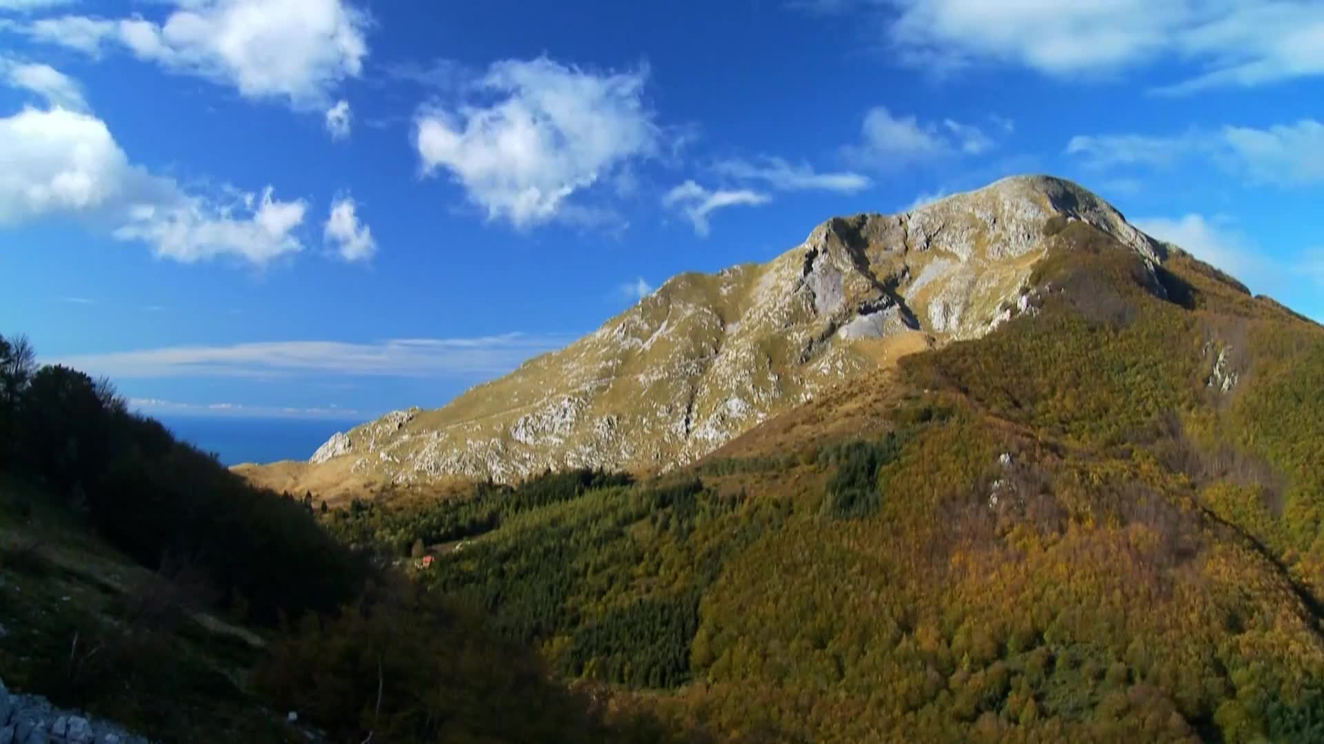 DokuTV