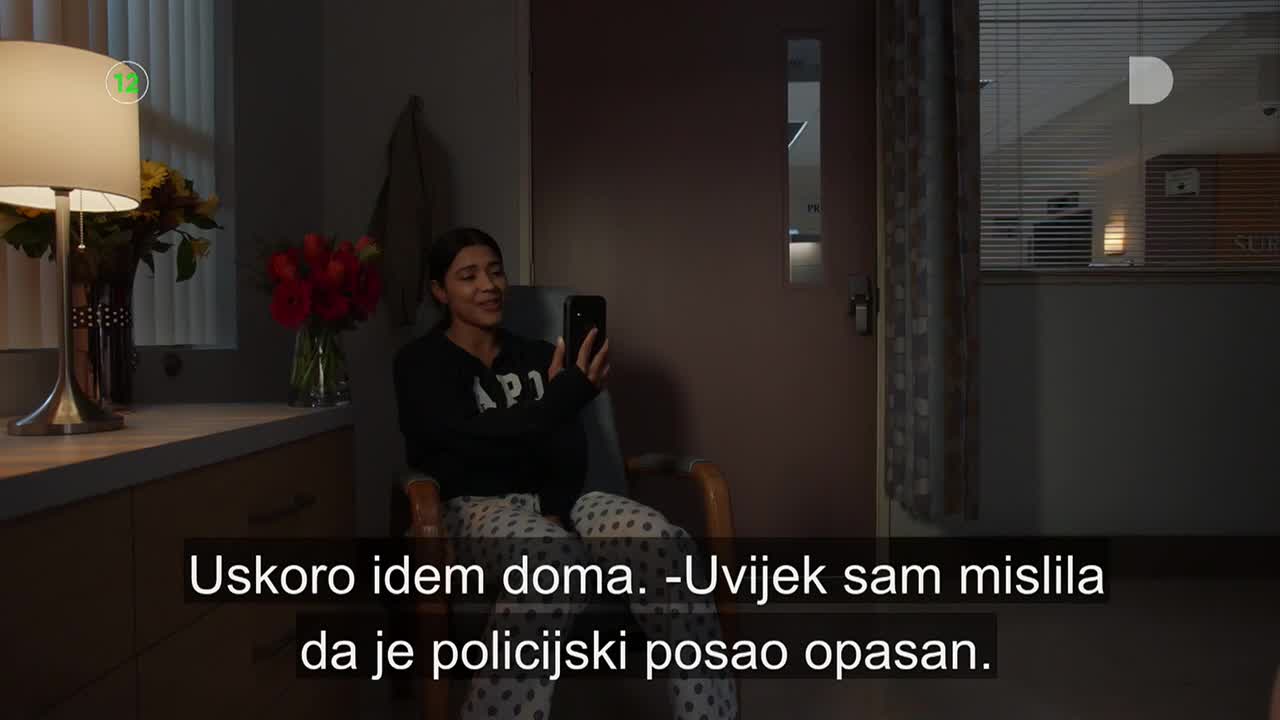 DomaTV