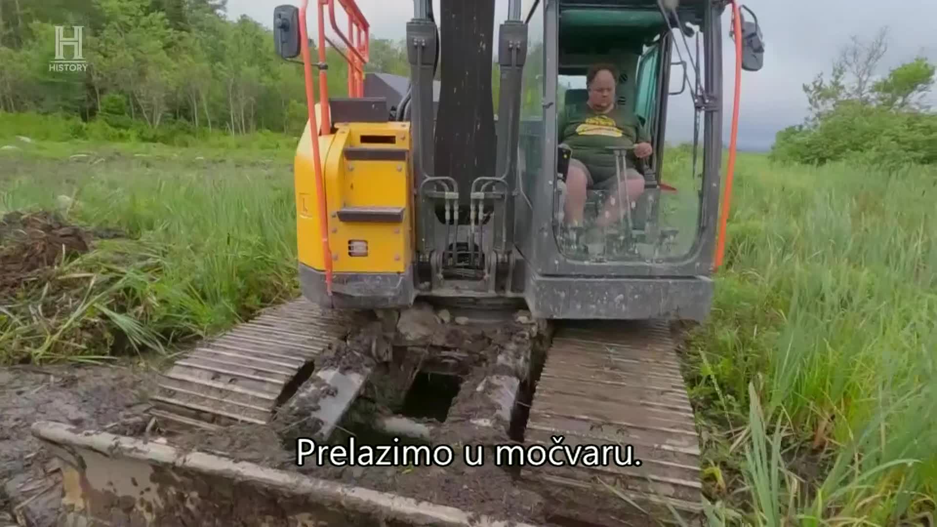 History