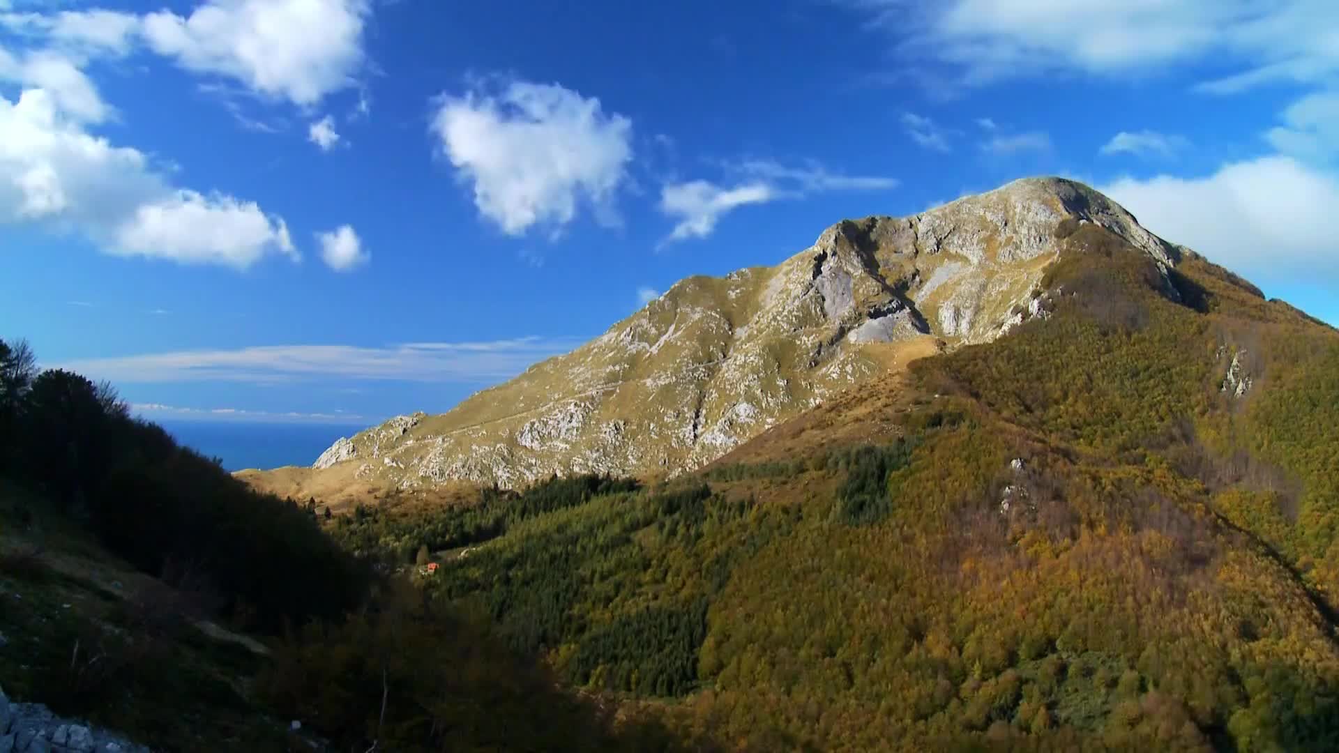 DokuTV