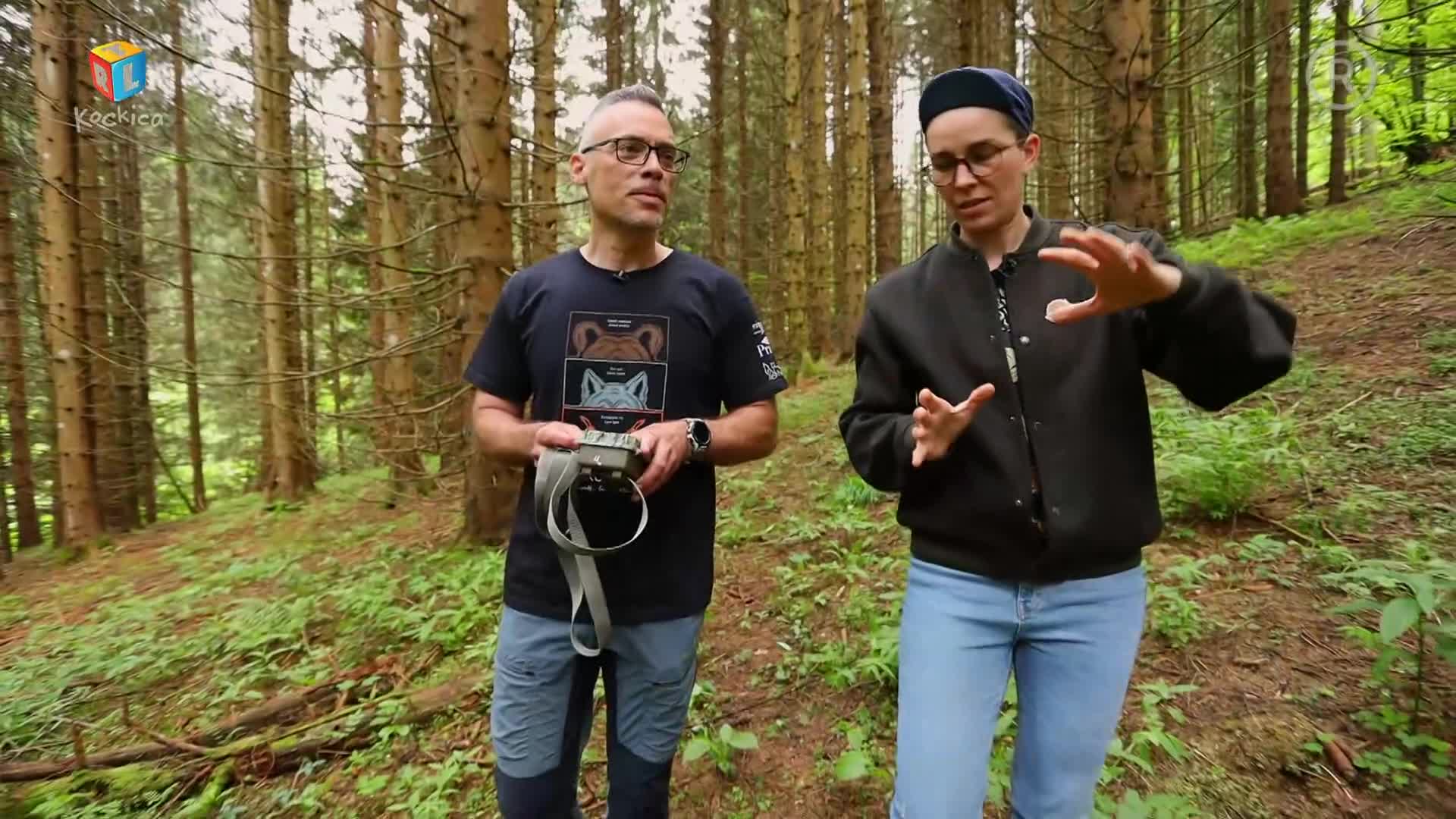 RTLKockica