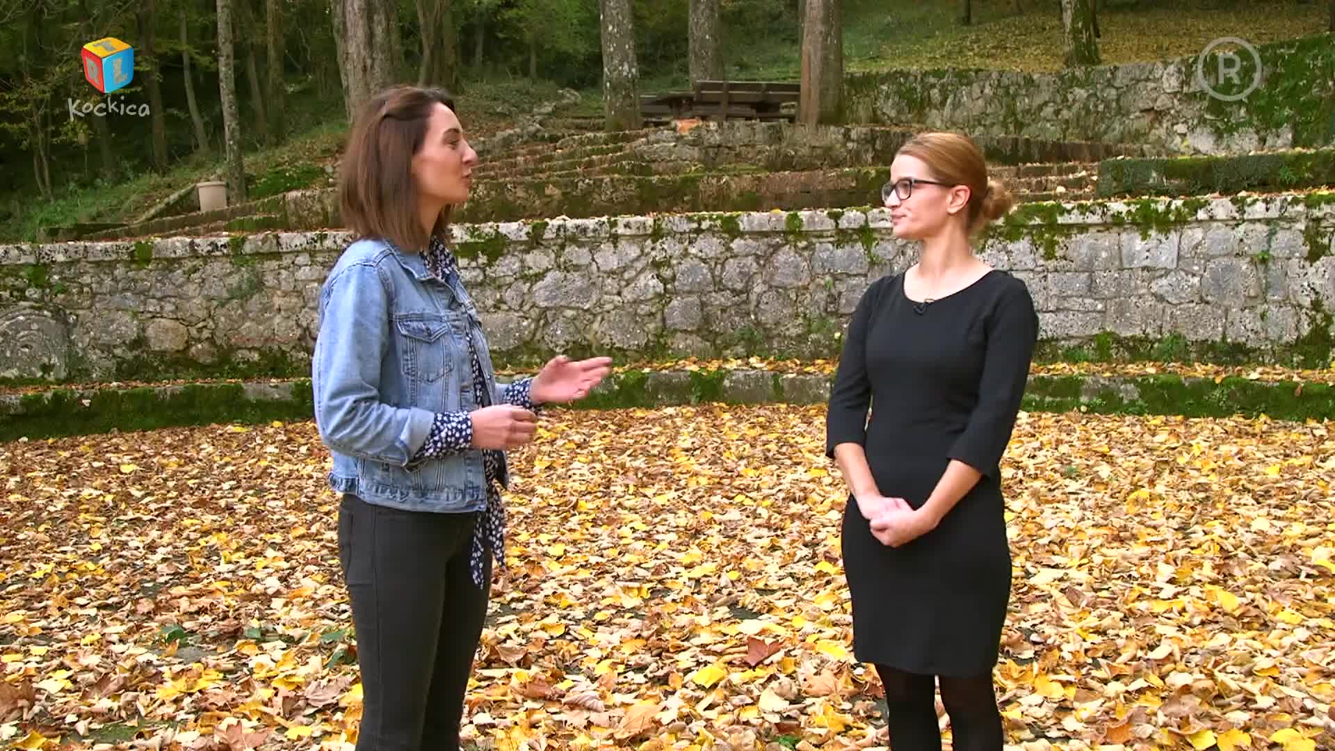 RTLKockica