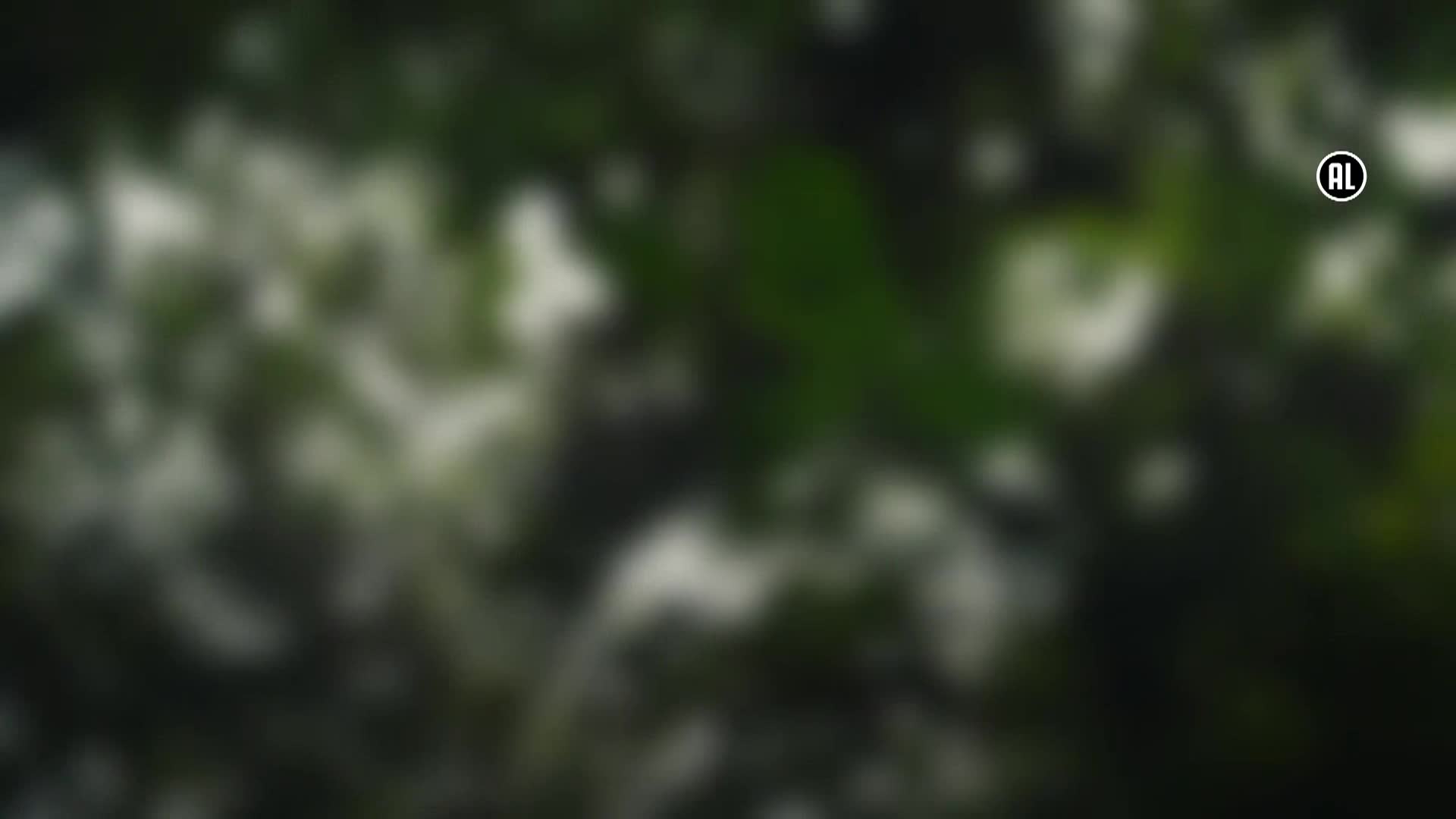 AnimalPlanet