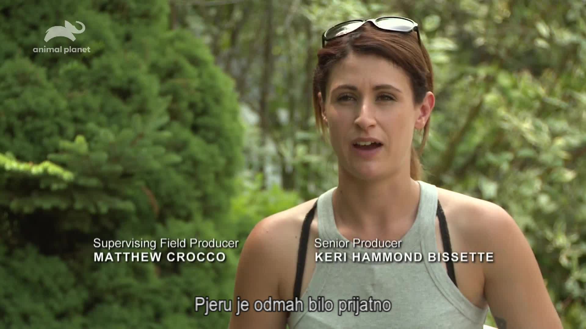 AnimalPlanet