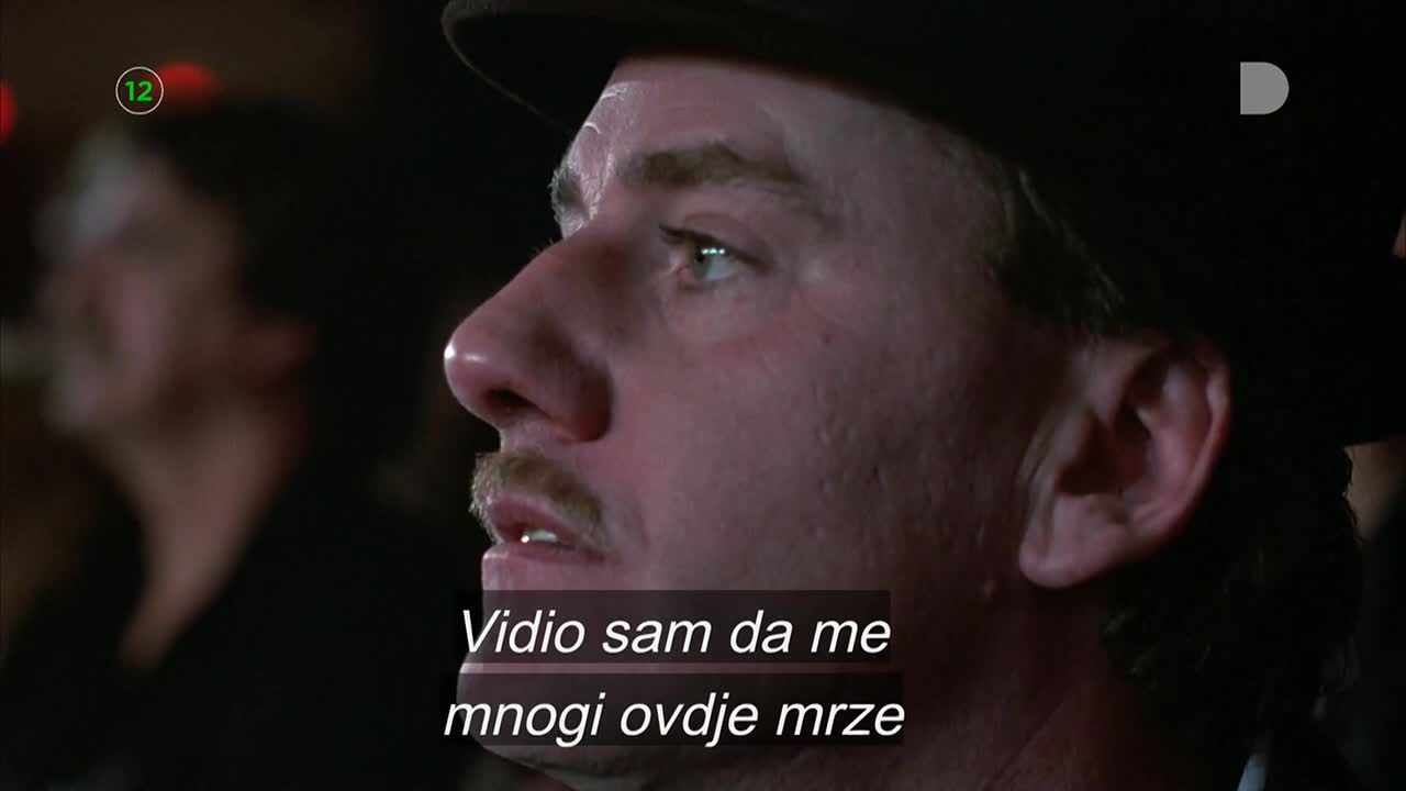 DomaTV