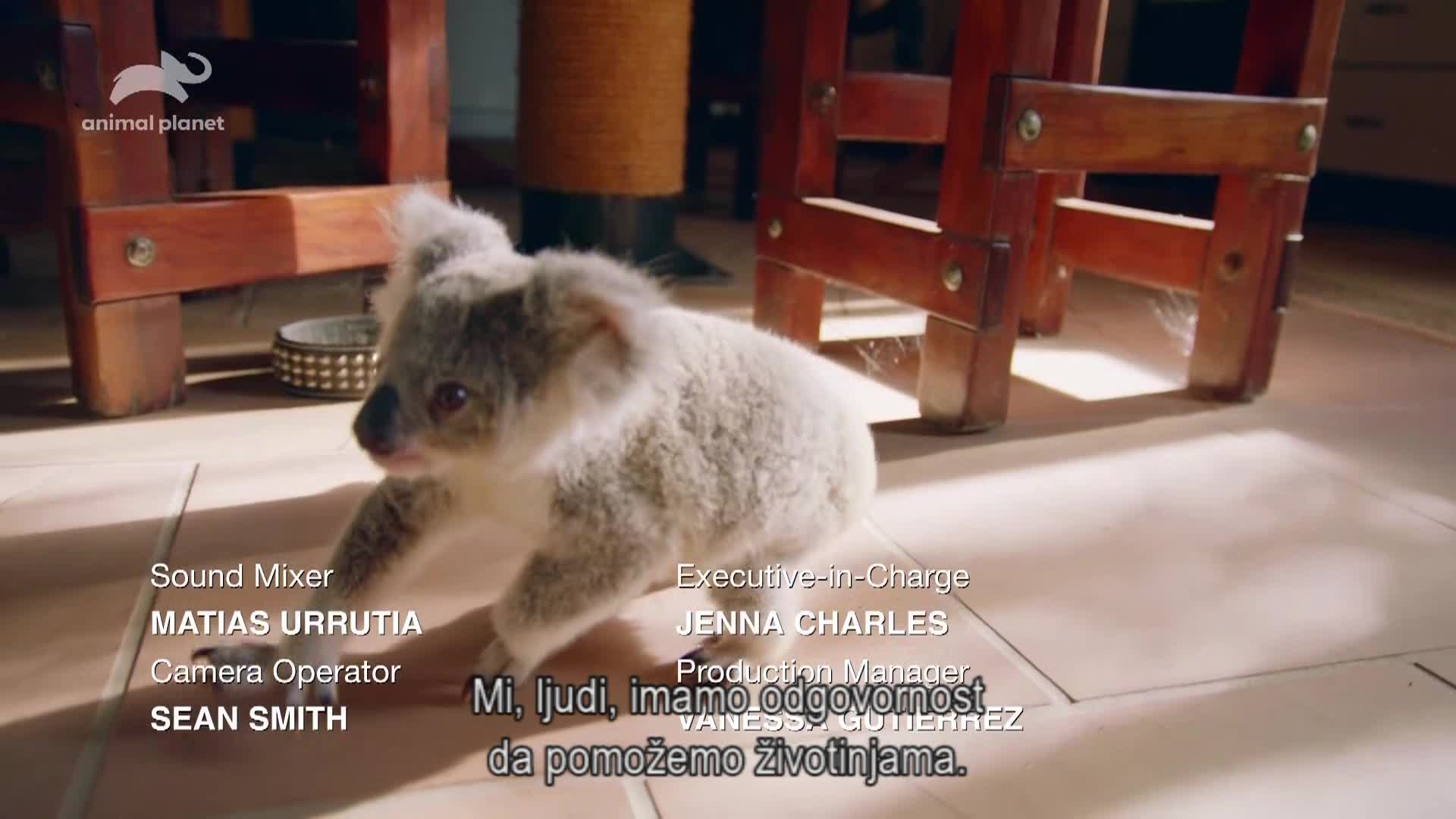 AnimalPlanet