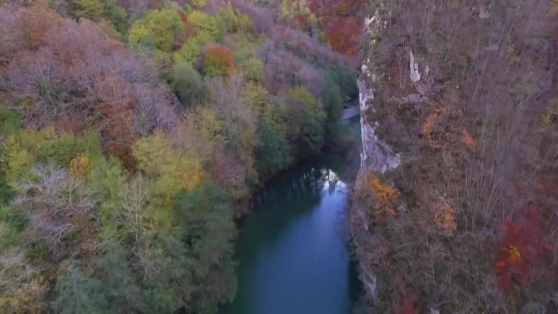 DokuTV