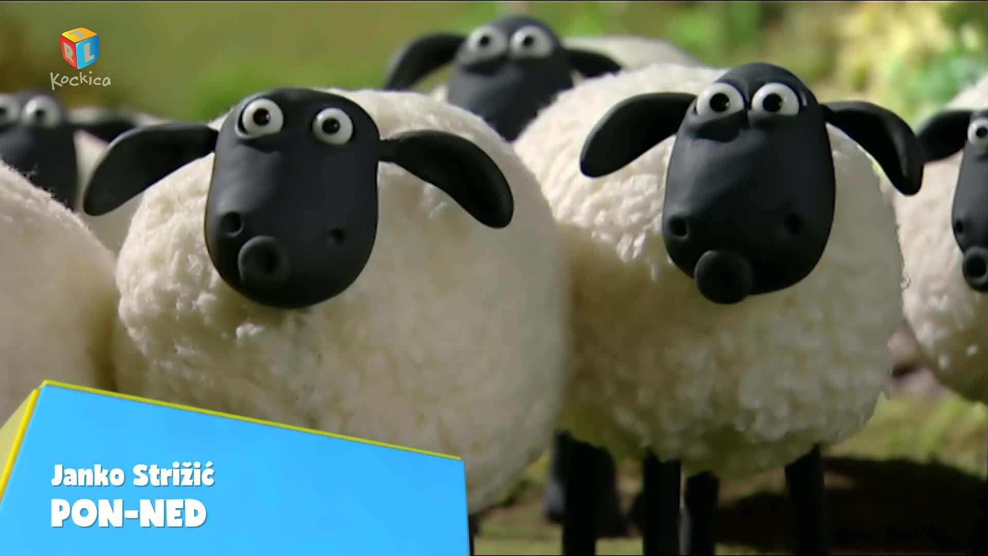 RTLKockica