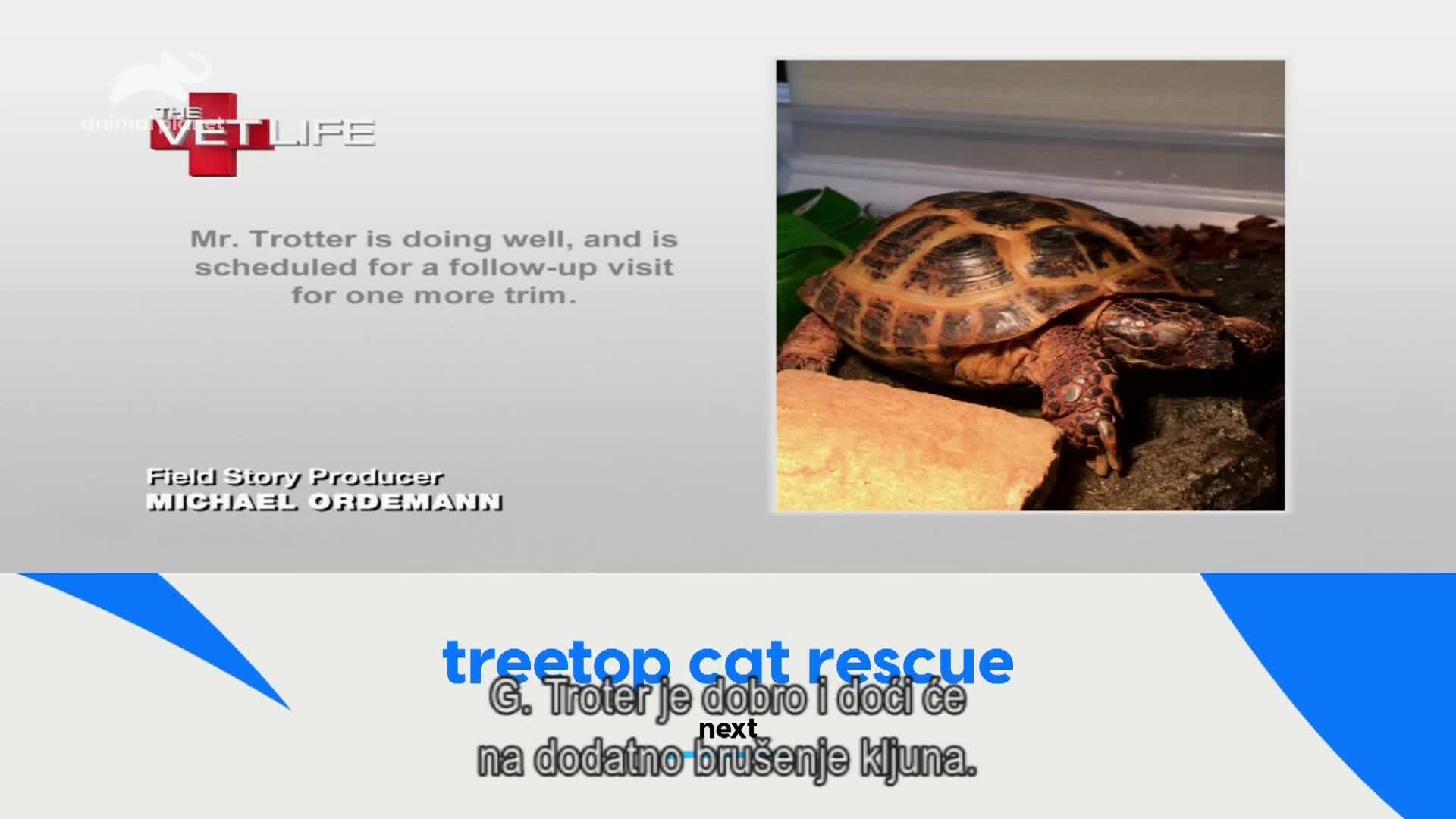 AnimalPlanet