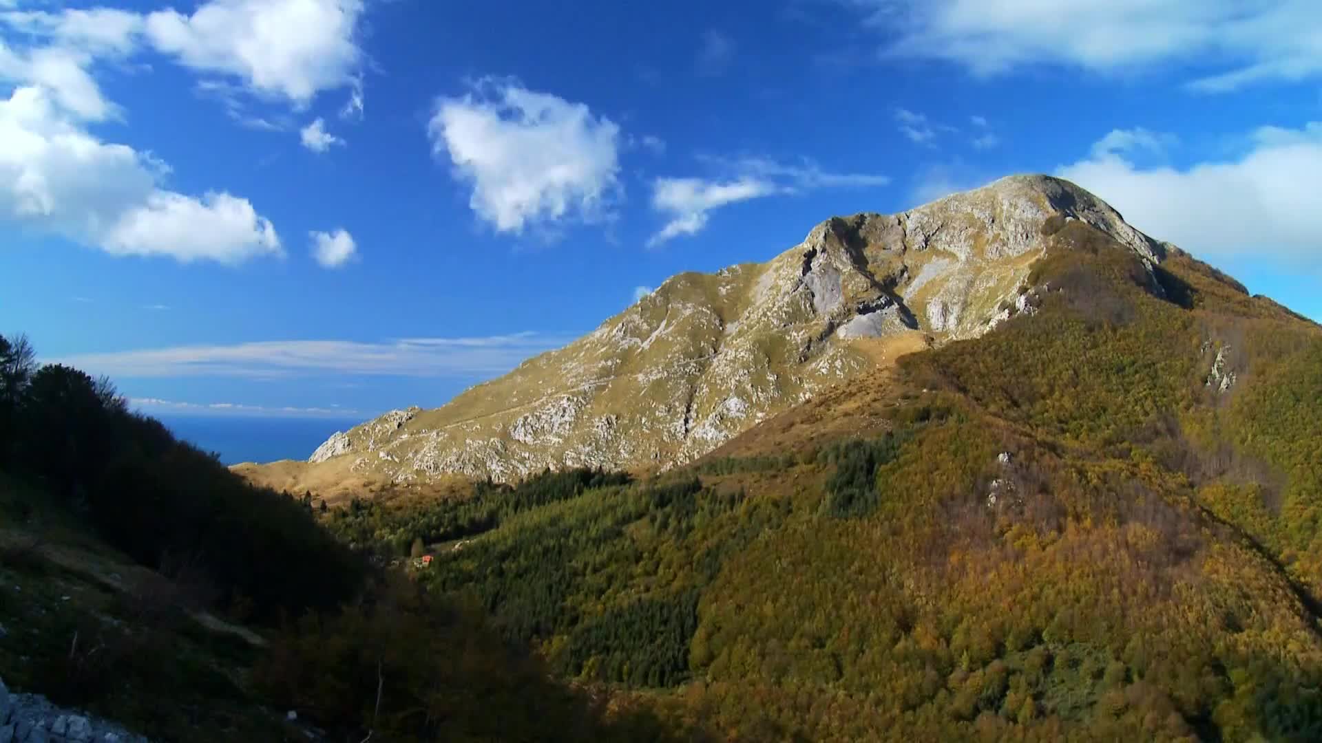 DokuTV