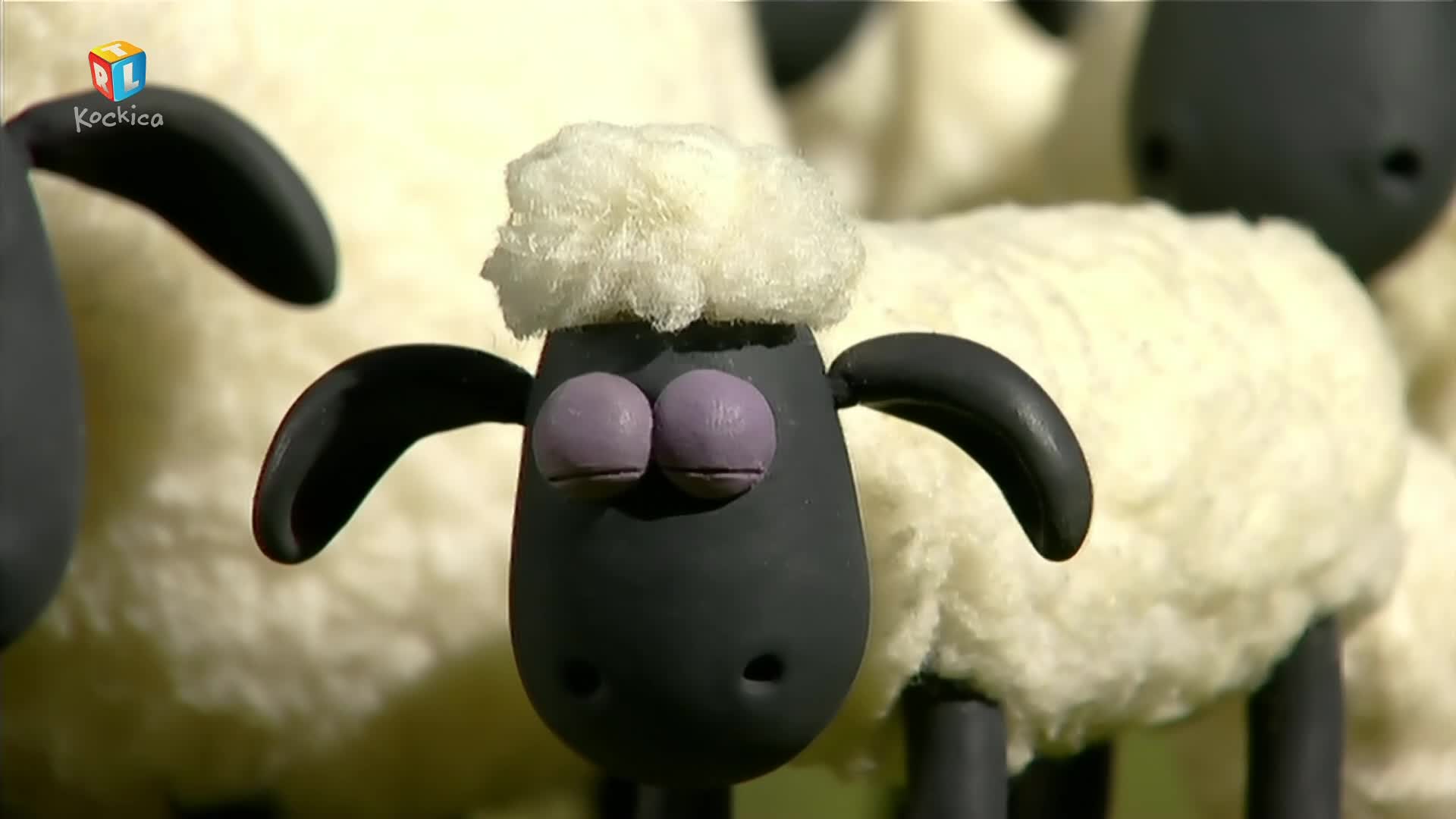 RTLKockica