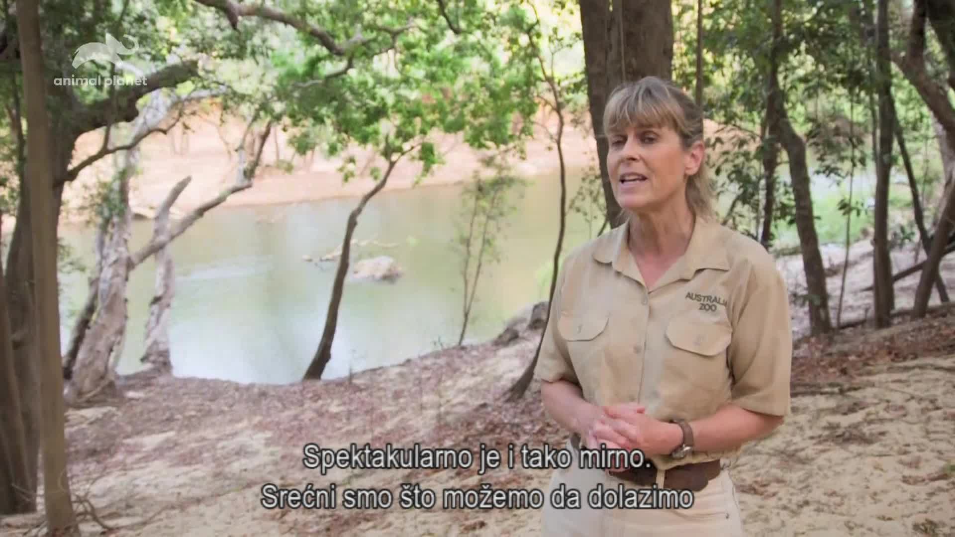 AnimalPlanet